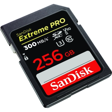 SANDISK SDSDXDK-256G-GN4IN